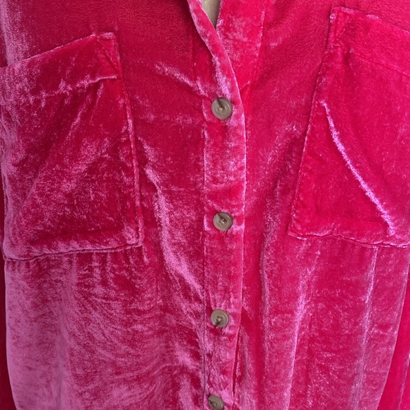 Anthropologie Pilcro Velvet Buttdown - Picture 3 of 8